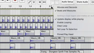 A picture of Audacity's 'Snap-to' dropdown